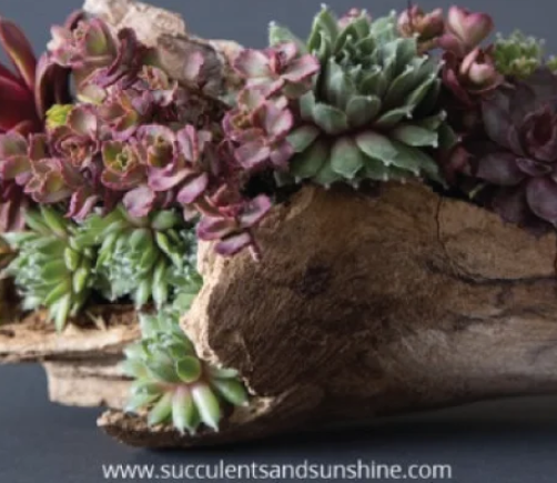 How to Make Your Holiday Business Gift Stand Out