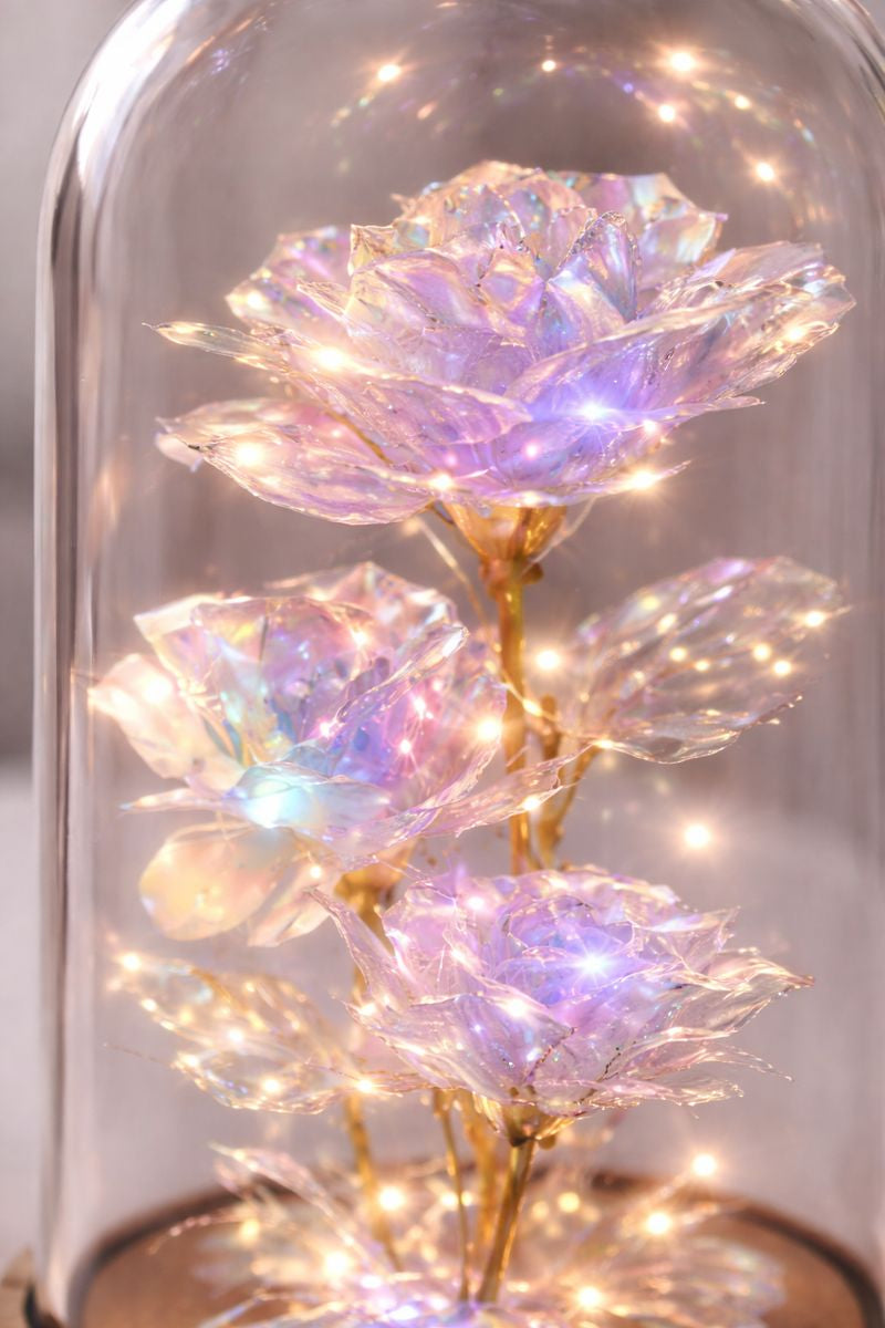 Galaxy Rose